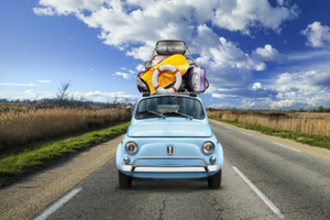 Bagagli 300x200 Bagagli sull'auto