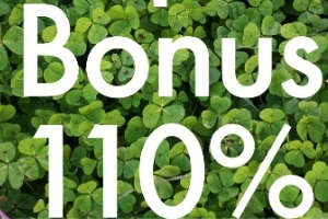Superbonus 110 _300 X 200_