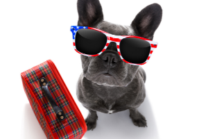 Vacanza Con Il Cane 300 X 200 Doc
