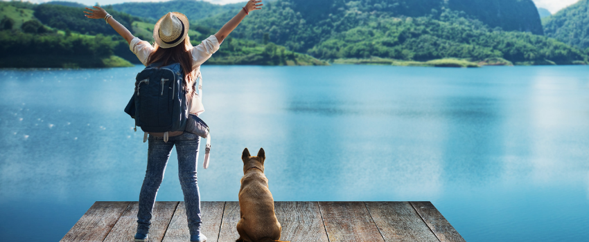 Vacanza Con Il Cane 850 X 350_