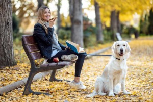 Animali 1 300x200 Donna seduta su una panchina in un parco autunnale con un libro in mano e un cane al guinzaglio accanto a lei