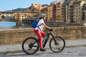 Ebike 300x200