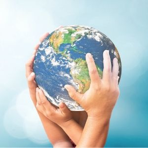 Ecosistema 300x300